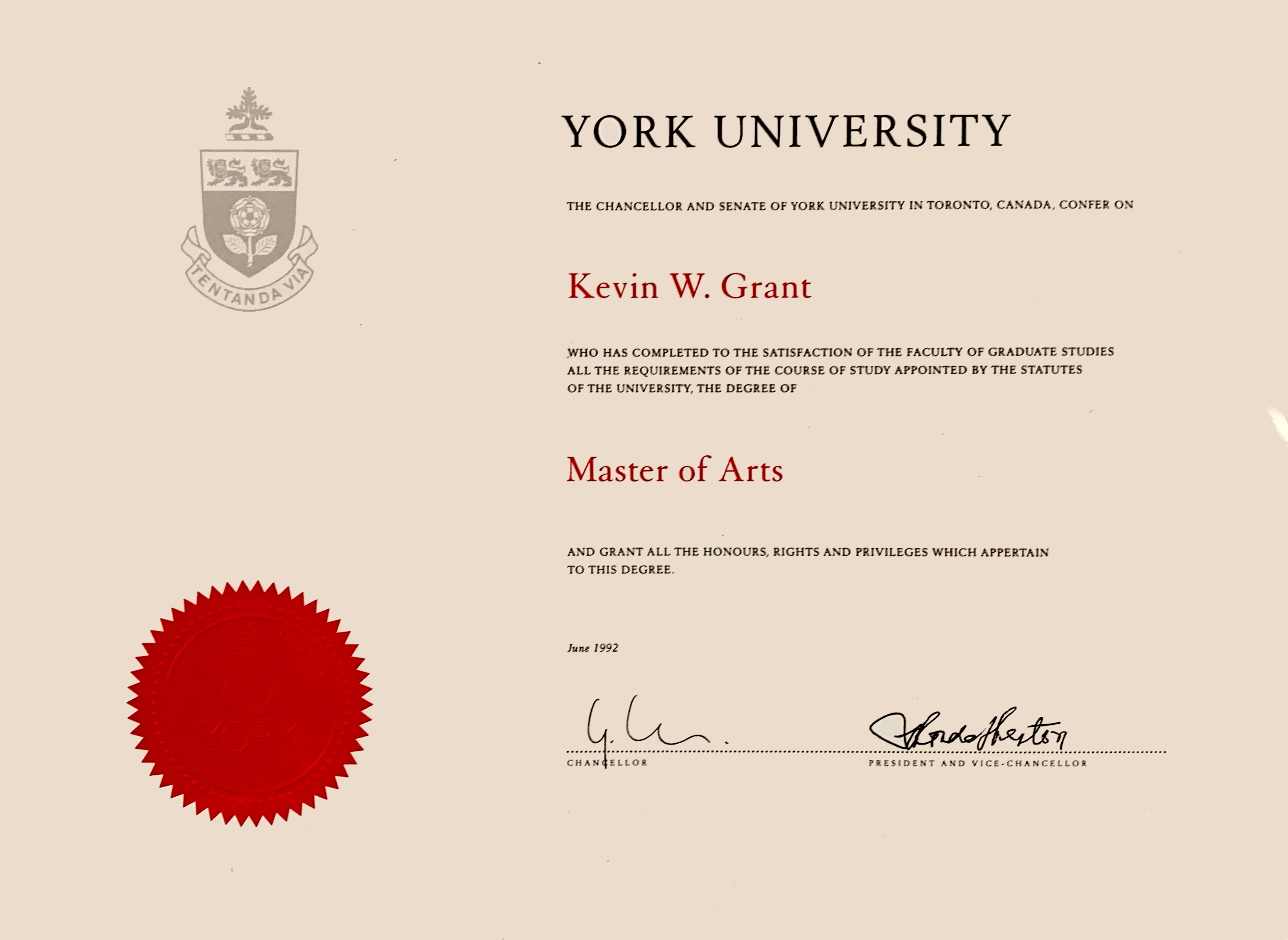 degree report york university