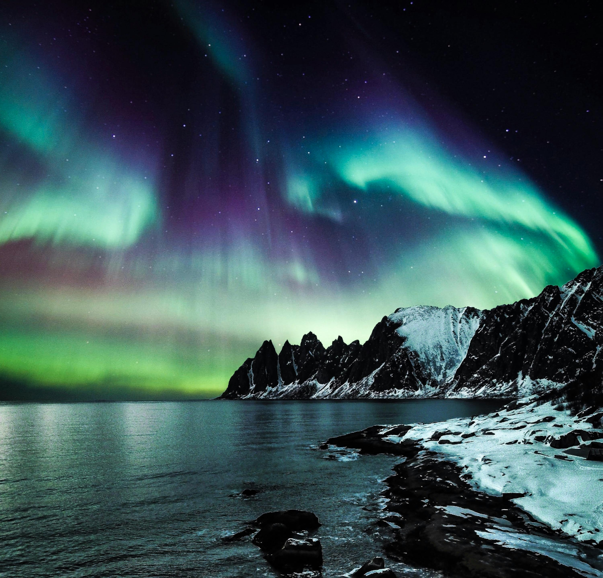 Awe of the Northern Lights